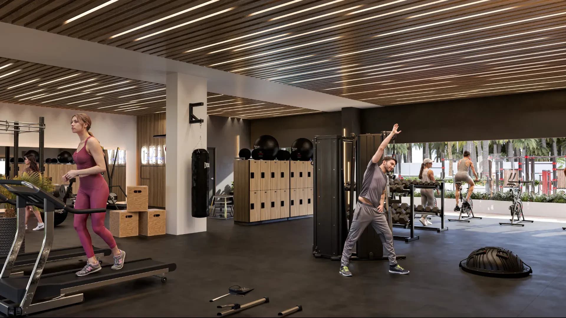 Gym v 2