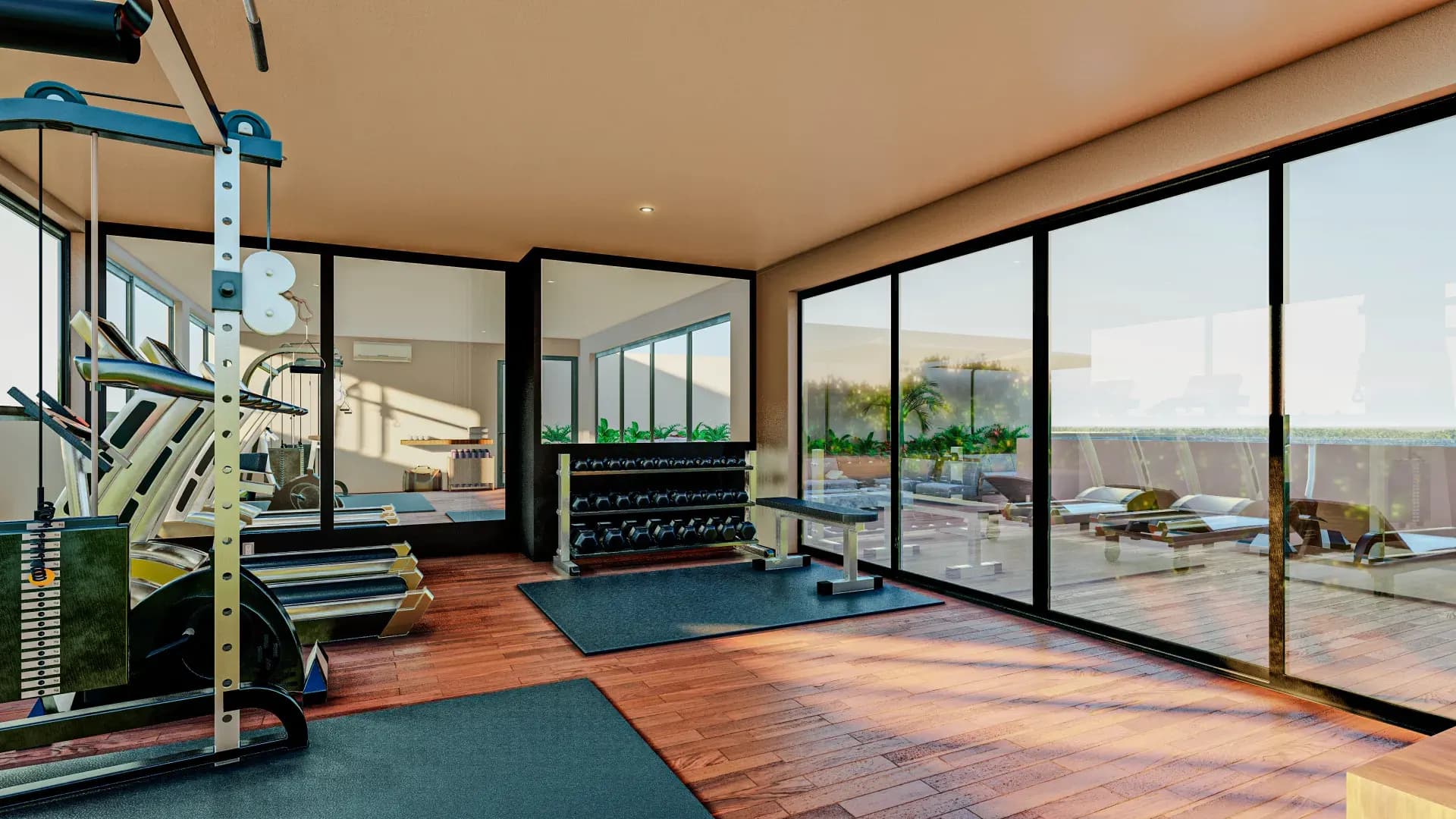 1 Gimnasio