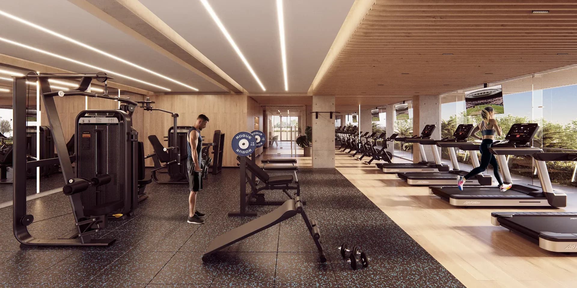 5 GIMNASIO