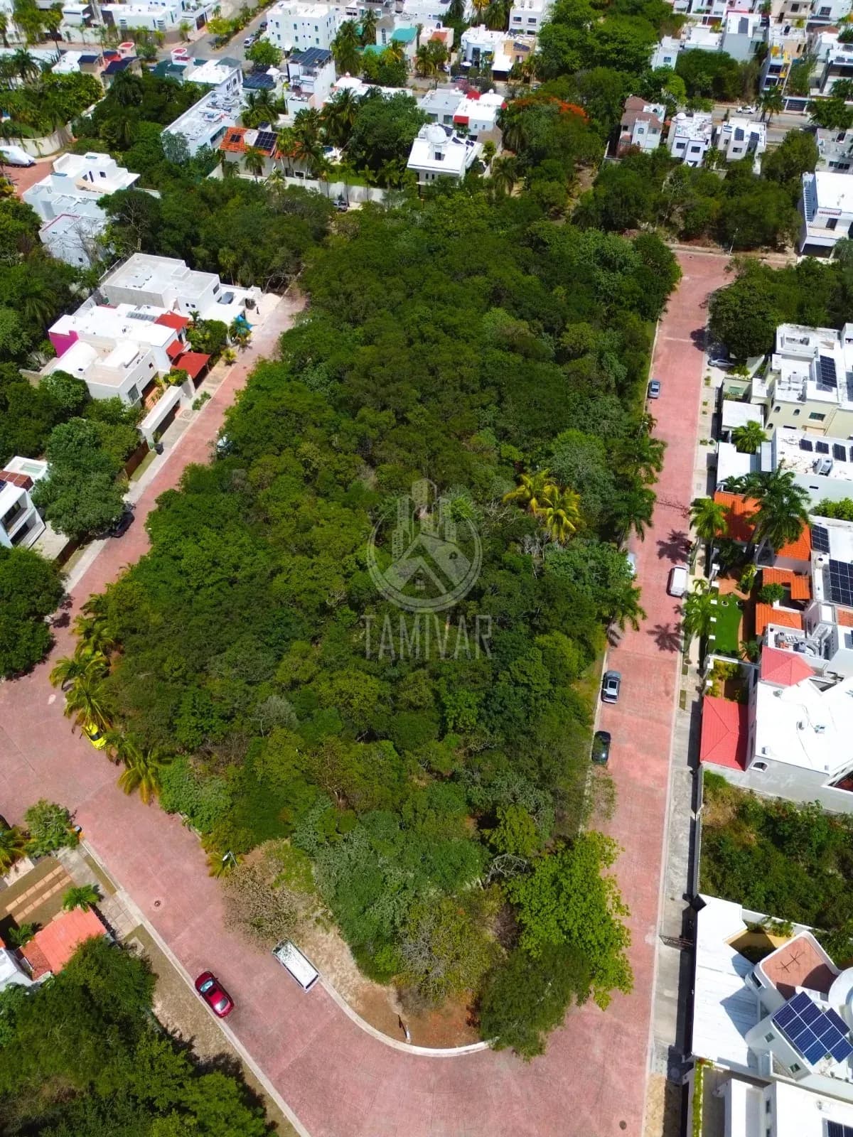 ÁREA VERDE