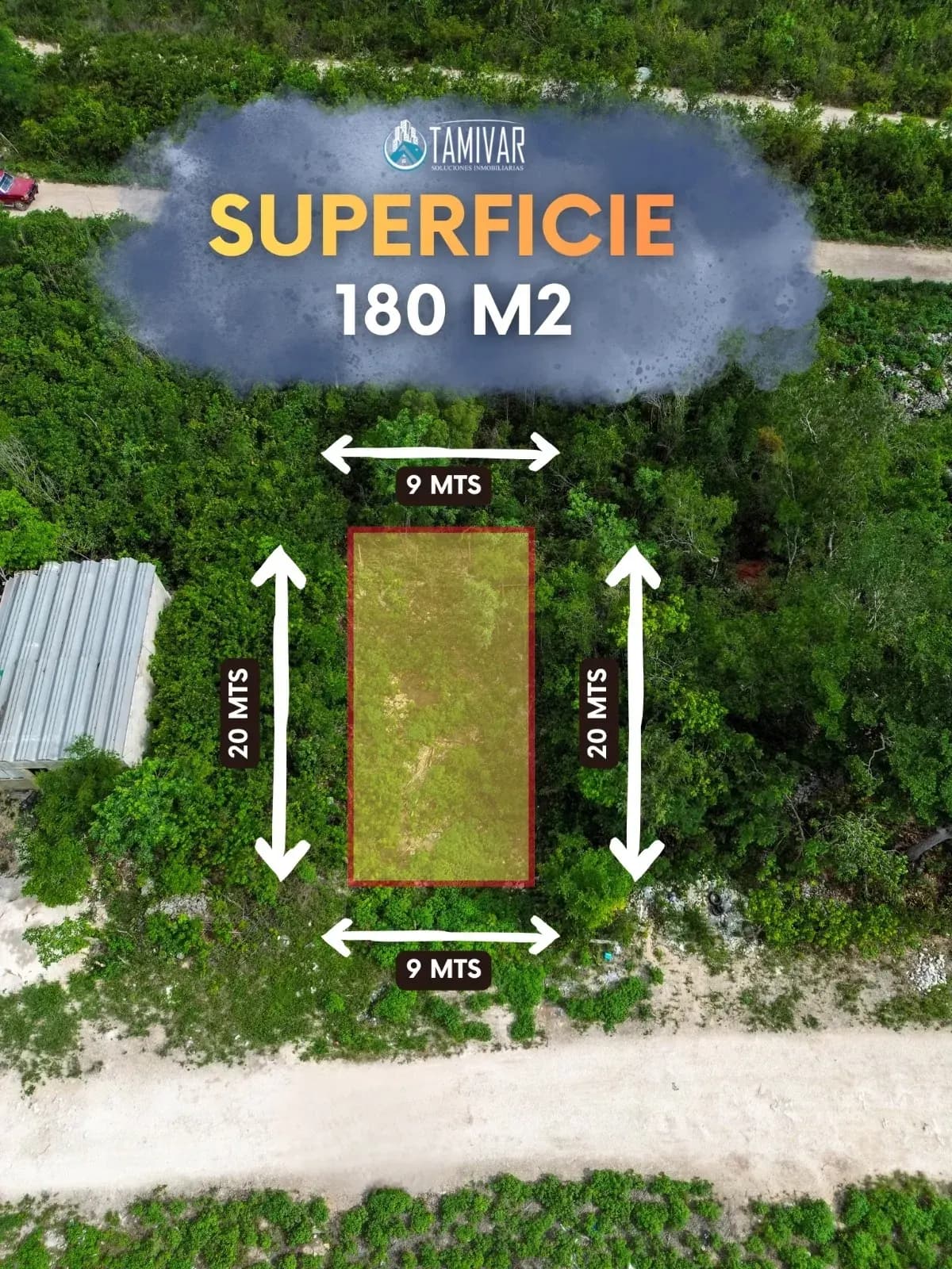 SANTA CECILIA